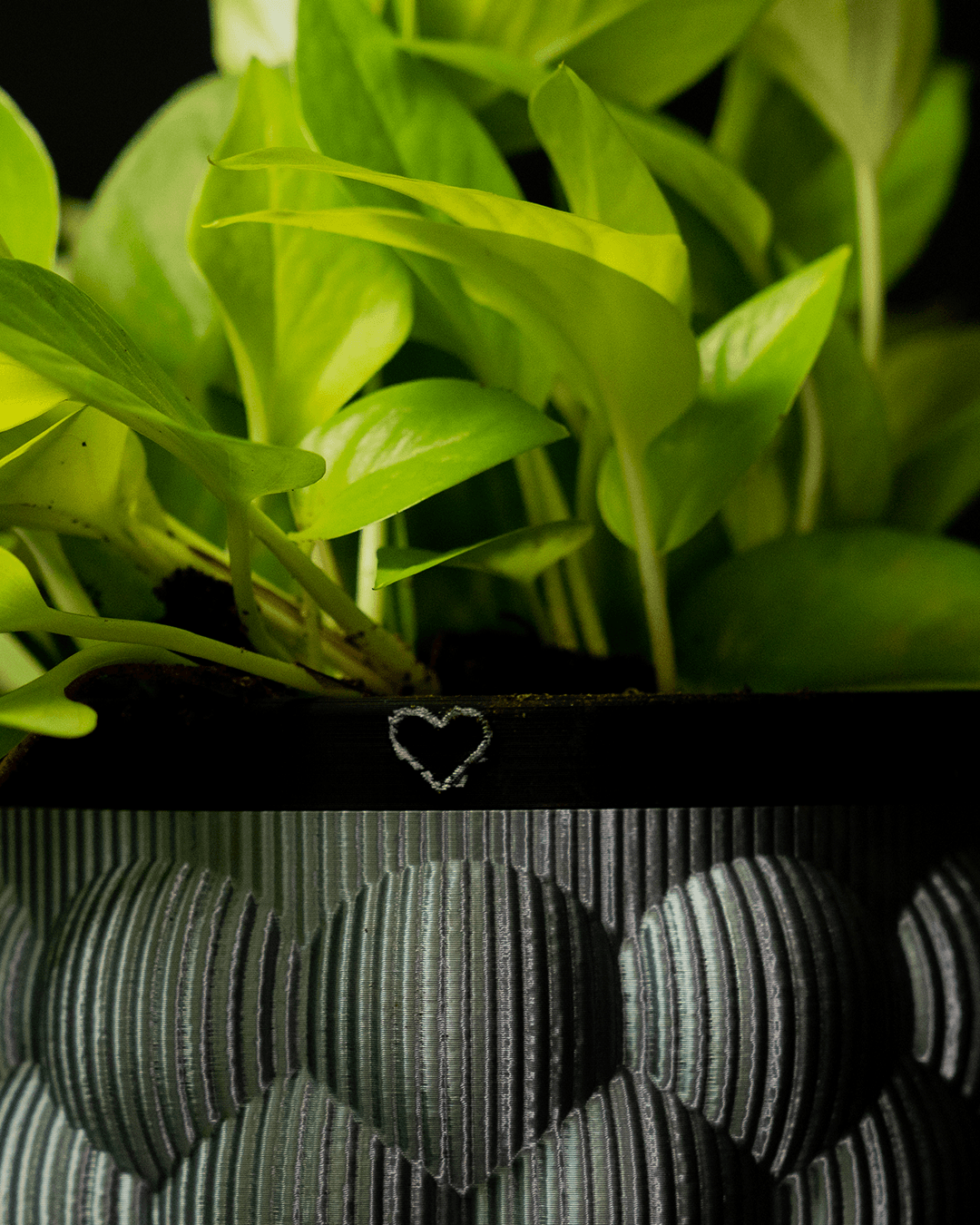 The M.A.D.E. Hydro-Flow Vase - Image 3