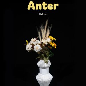 Anter Vase
