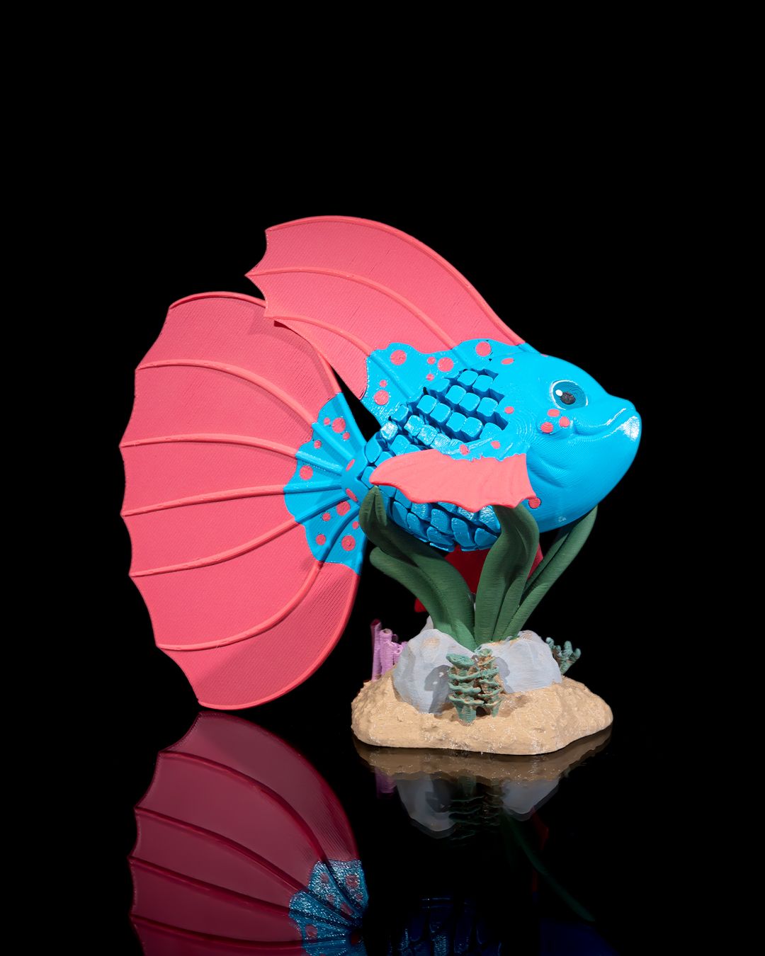 Bella, the Betta Fish - Image 6