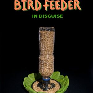 Bird Feeder in Disguise