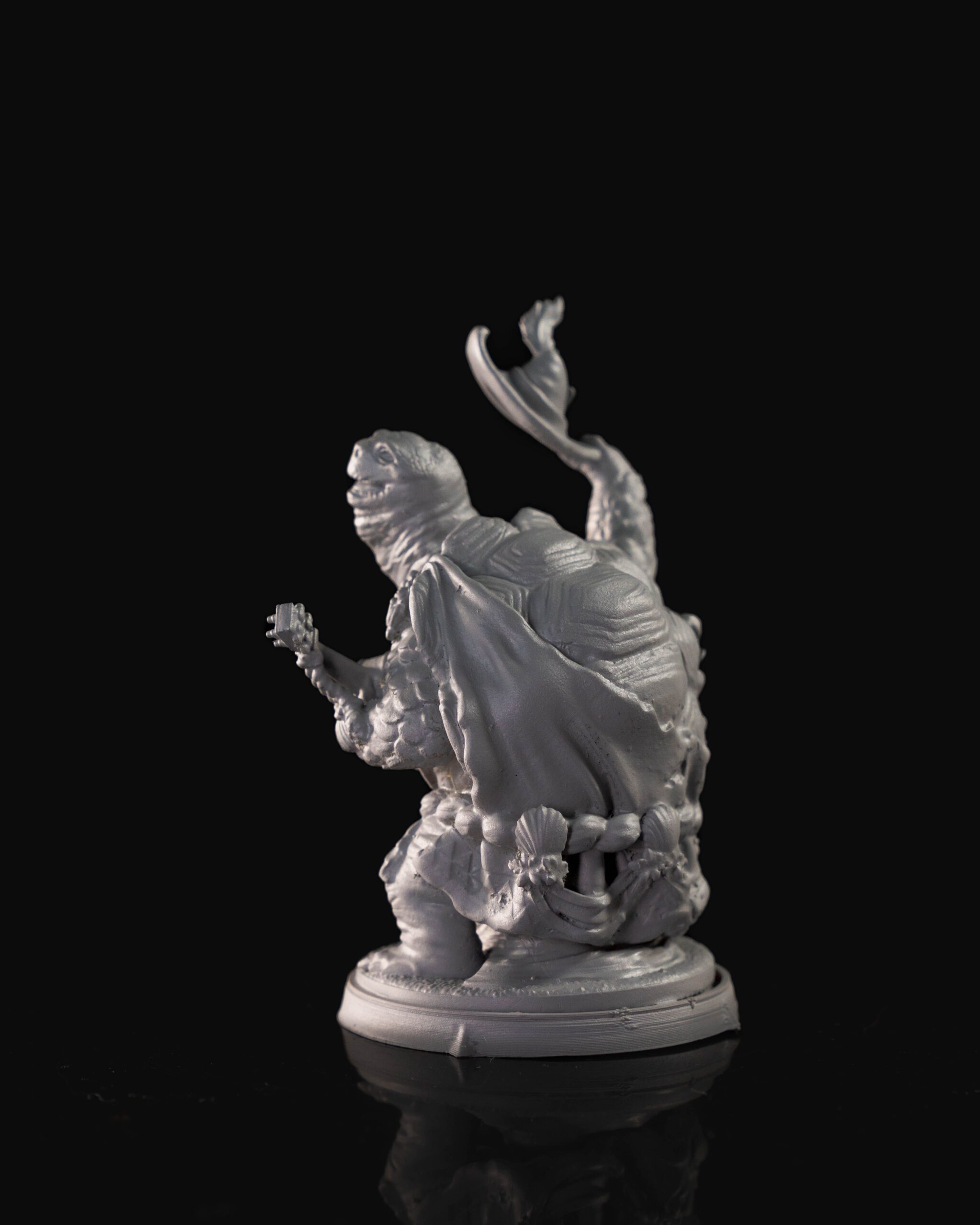 Sheeldon Tortoise - Hero - Image 4