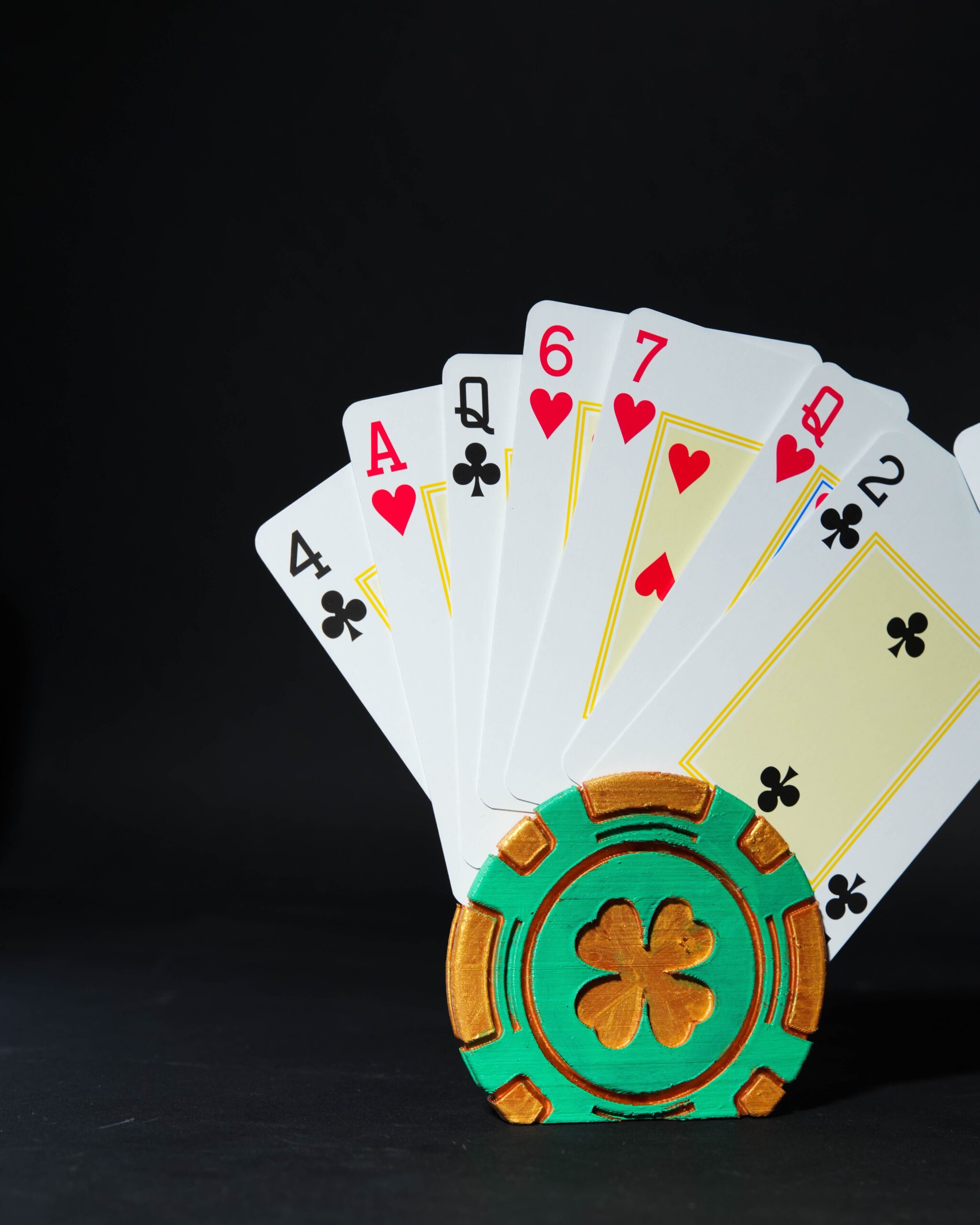 Customizable Card Holder - Image 4