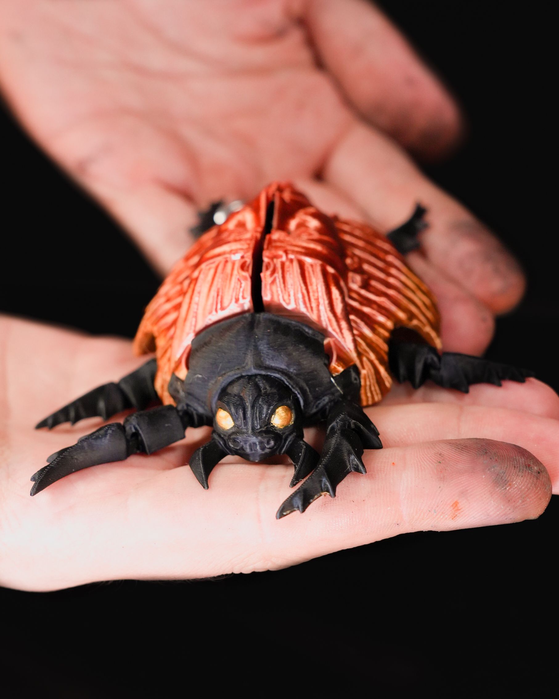 Golden Scarab - Image 4