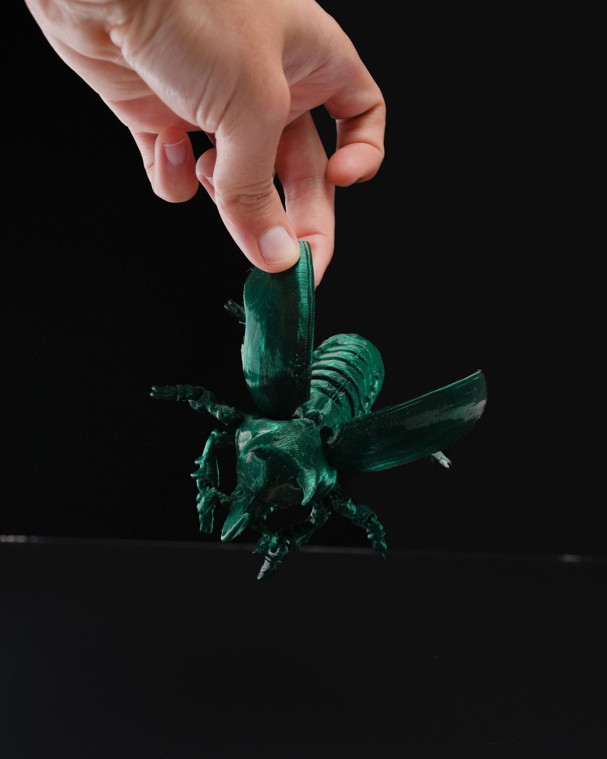 Articulated Unicorn Beetle - Image 4