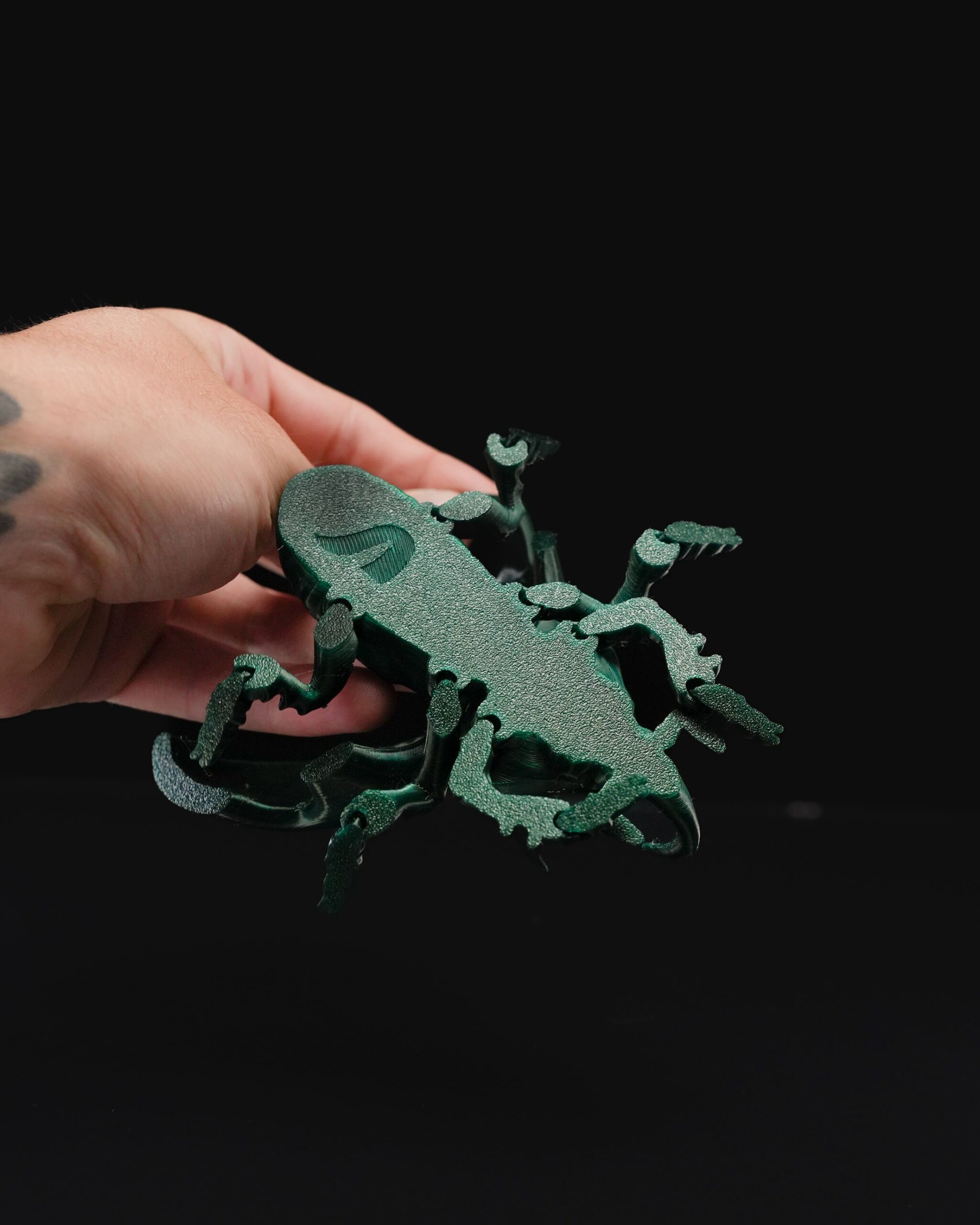 Articulated Unicorn Beetle - Image 5