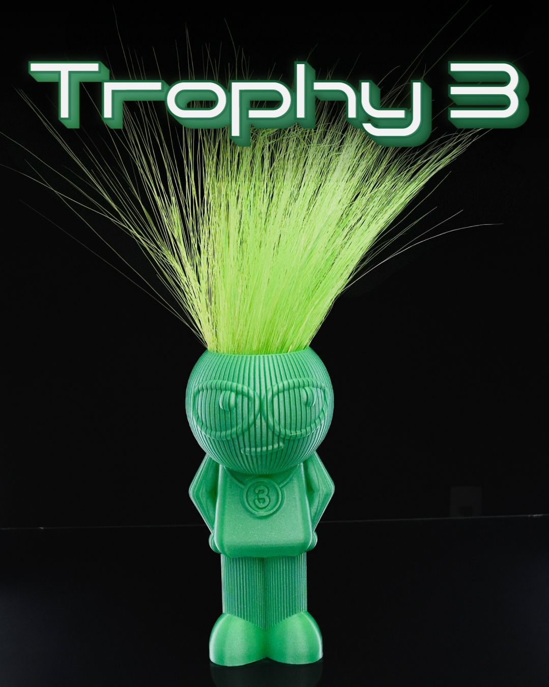 Trophy 3