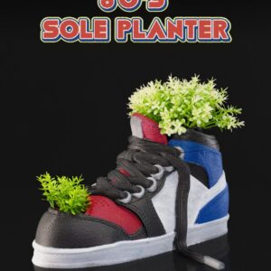 80’s Sole Planter