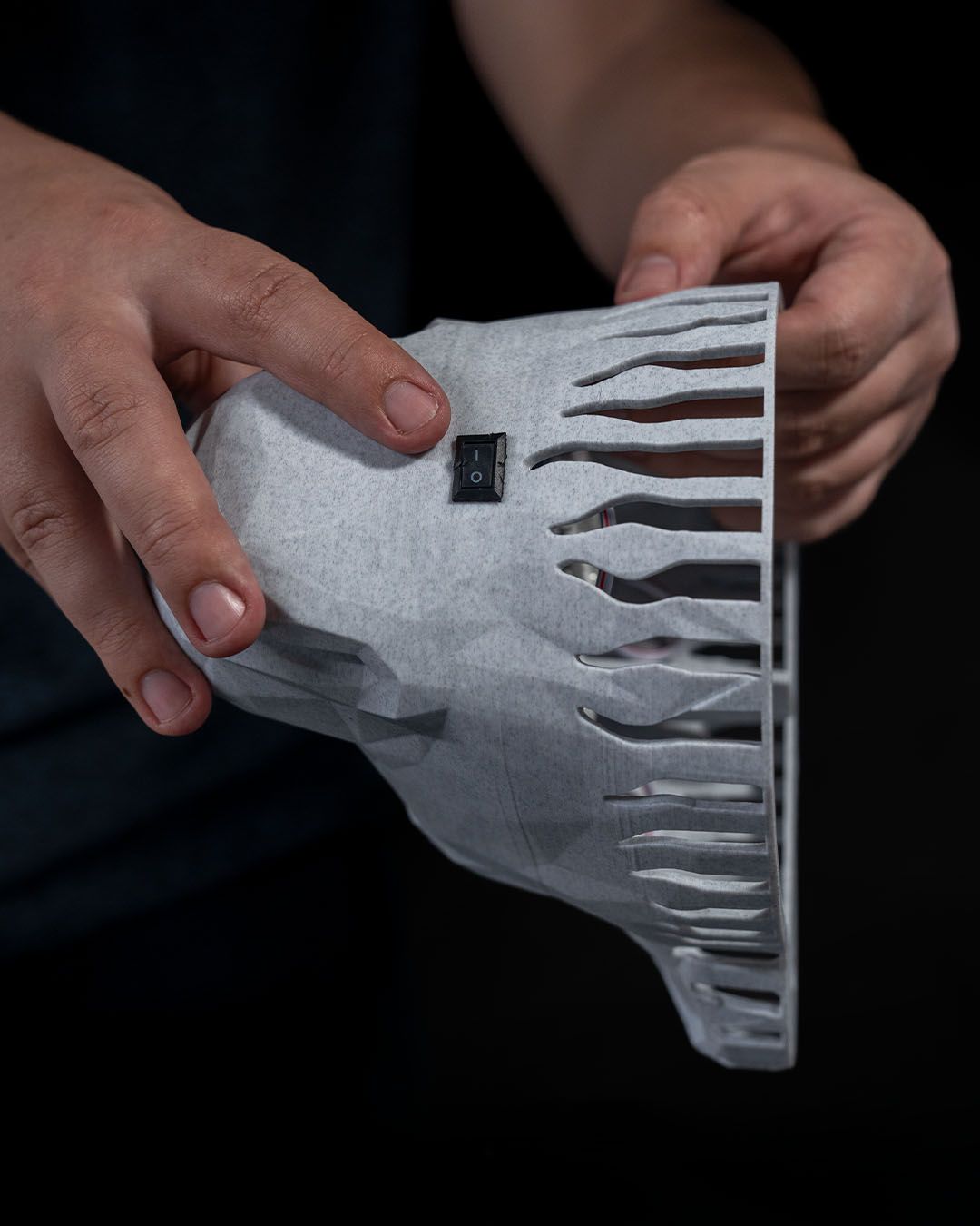 Great Lion Wall Light - Image 5