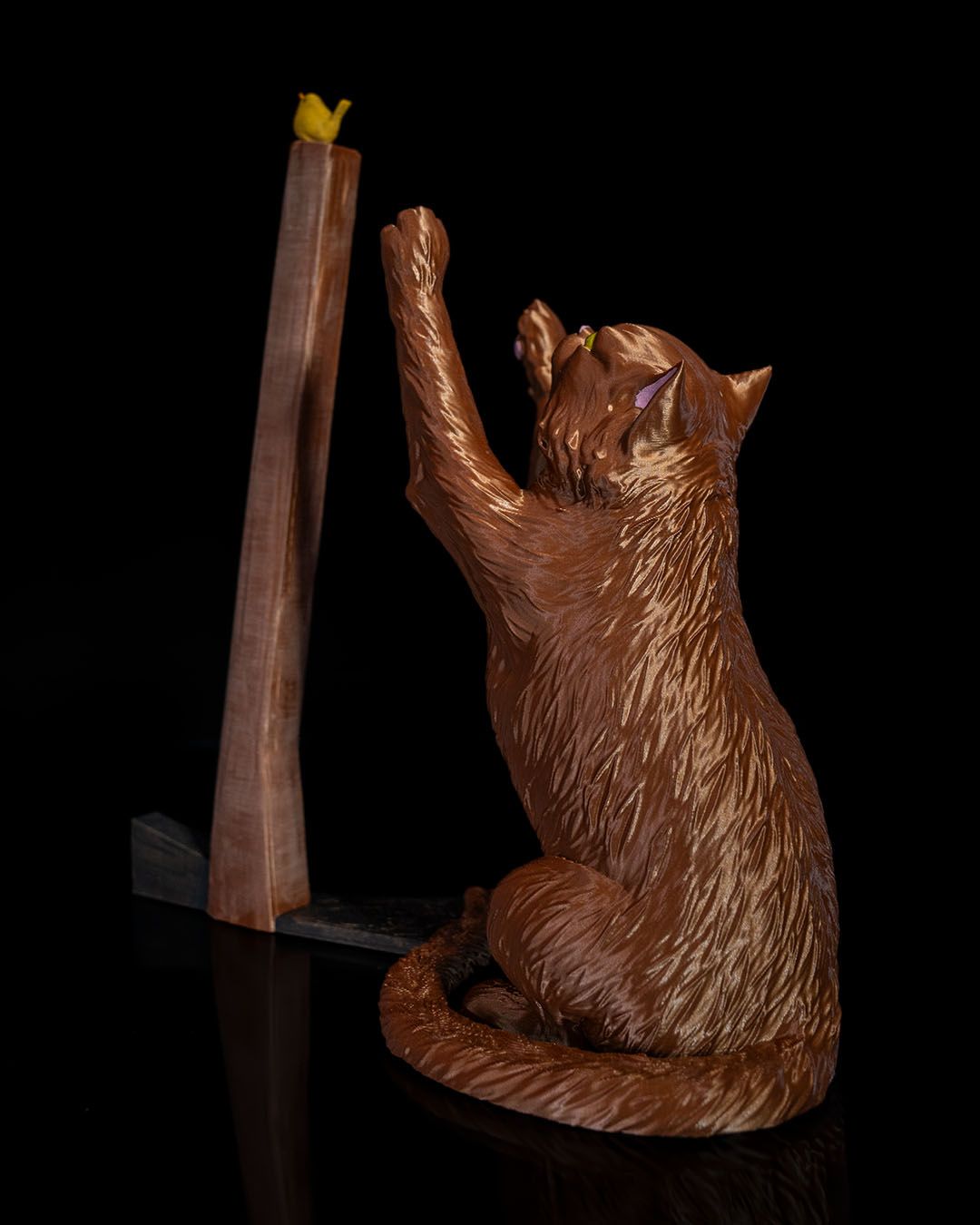 Le chat, l'oiseau et l'essuis-tout - Image 6