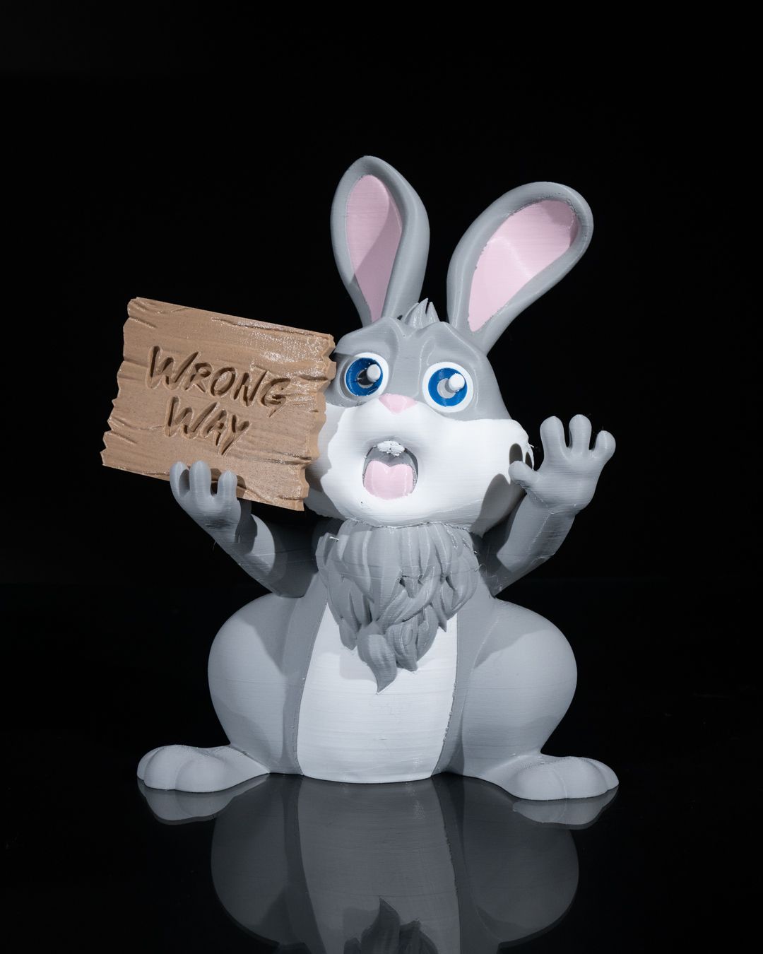 Wrong Way Bunny Sign - Image 2