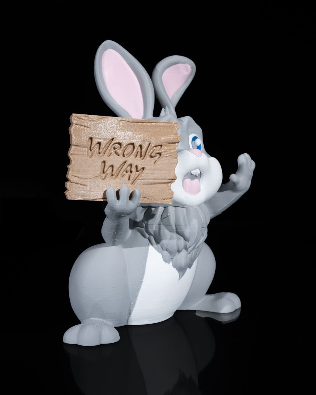 Wrong Way Bunny Sign - Image 6