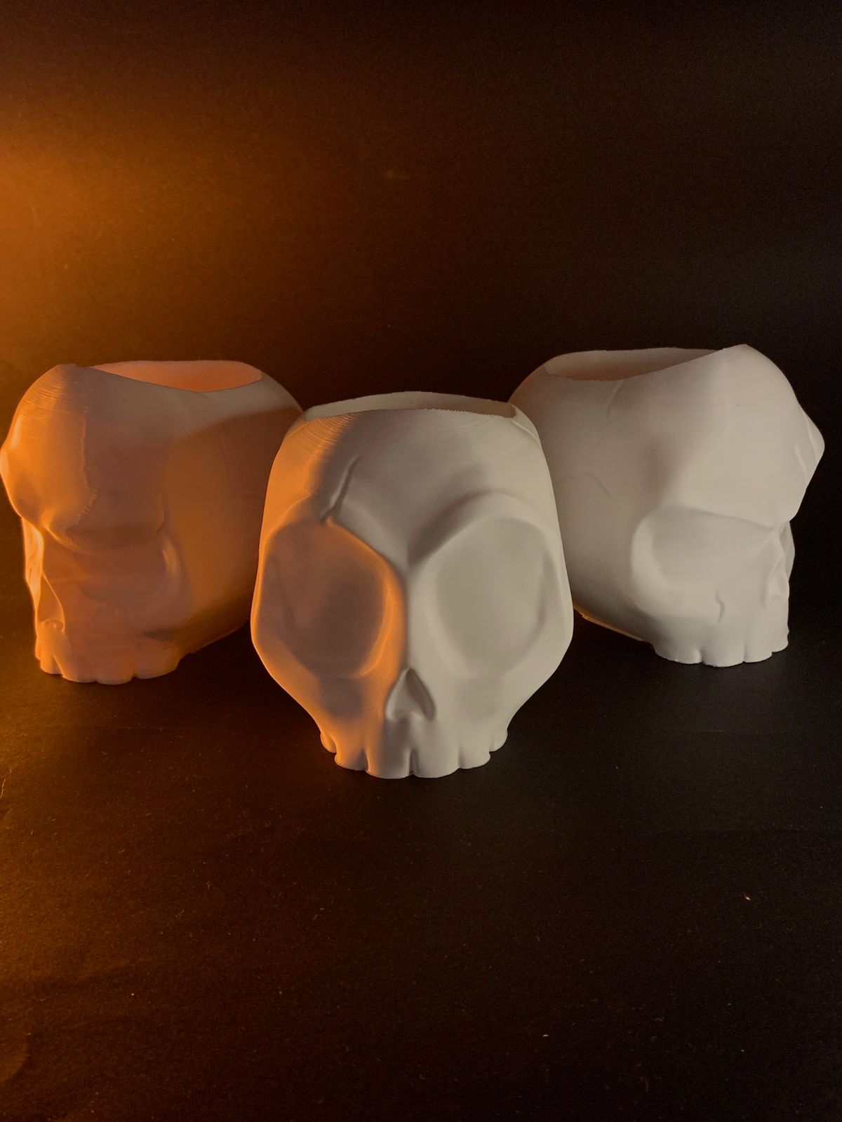 Skull Vases - Image 2
