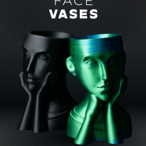 Face Vases