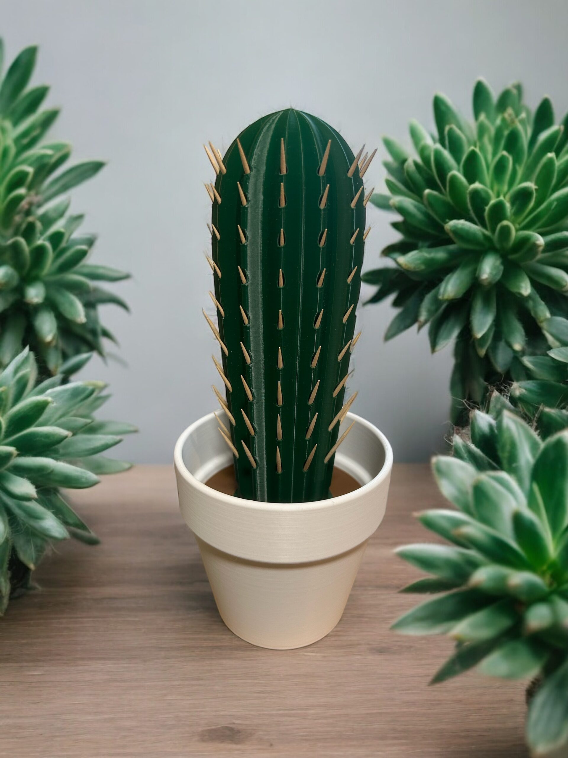 Cactus Toothpick Dispensers