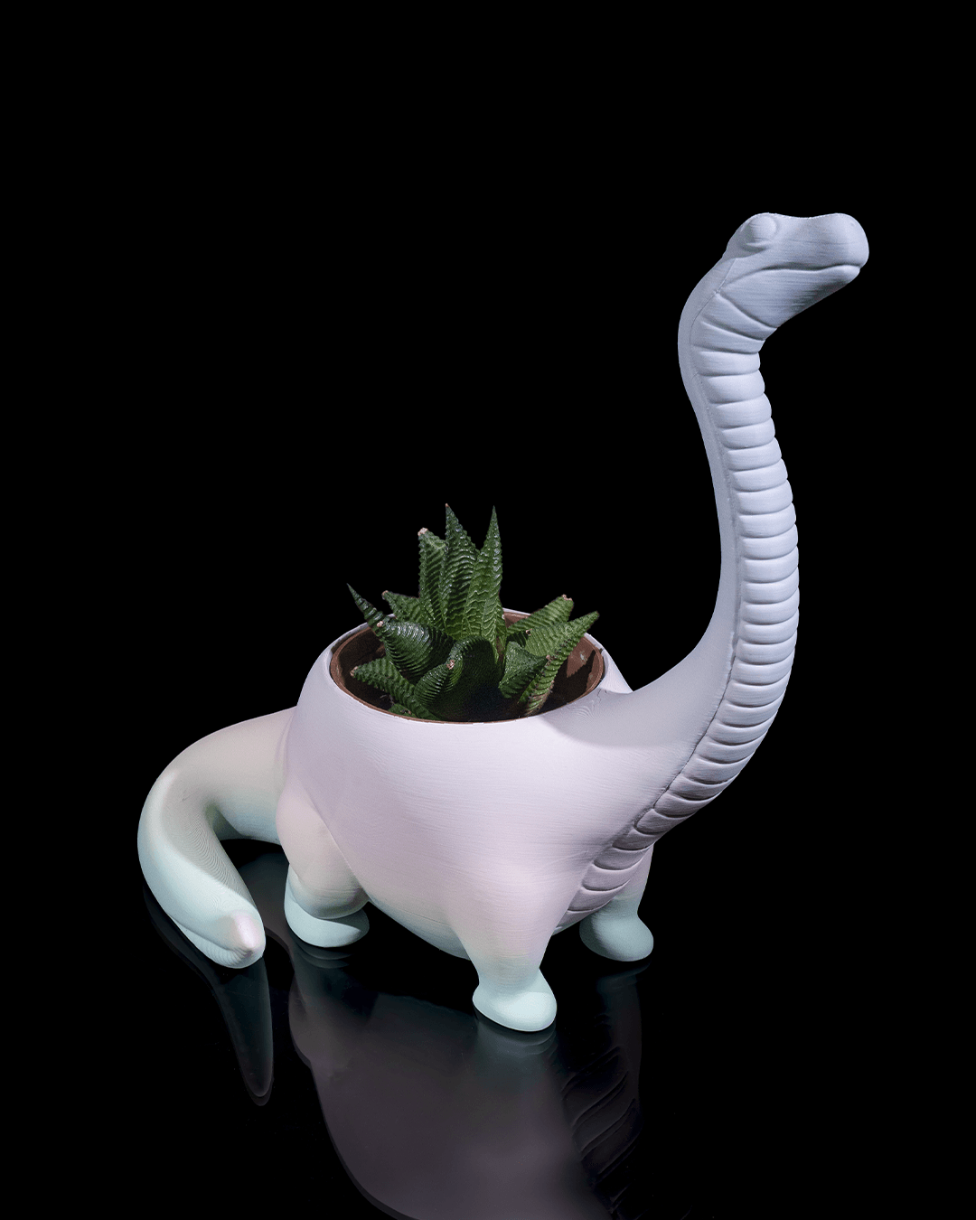 Herbivore Planter - Front - Image 4