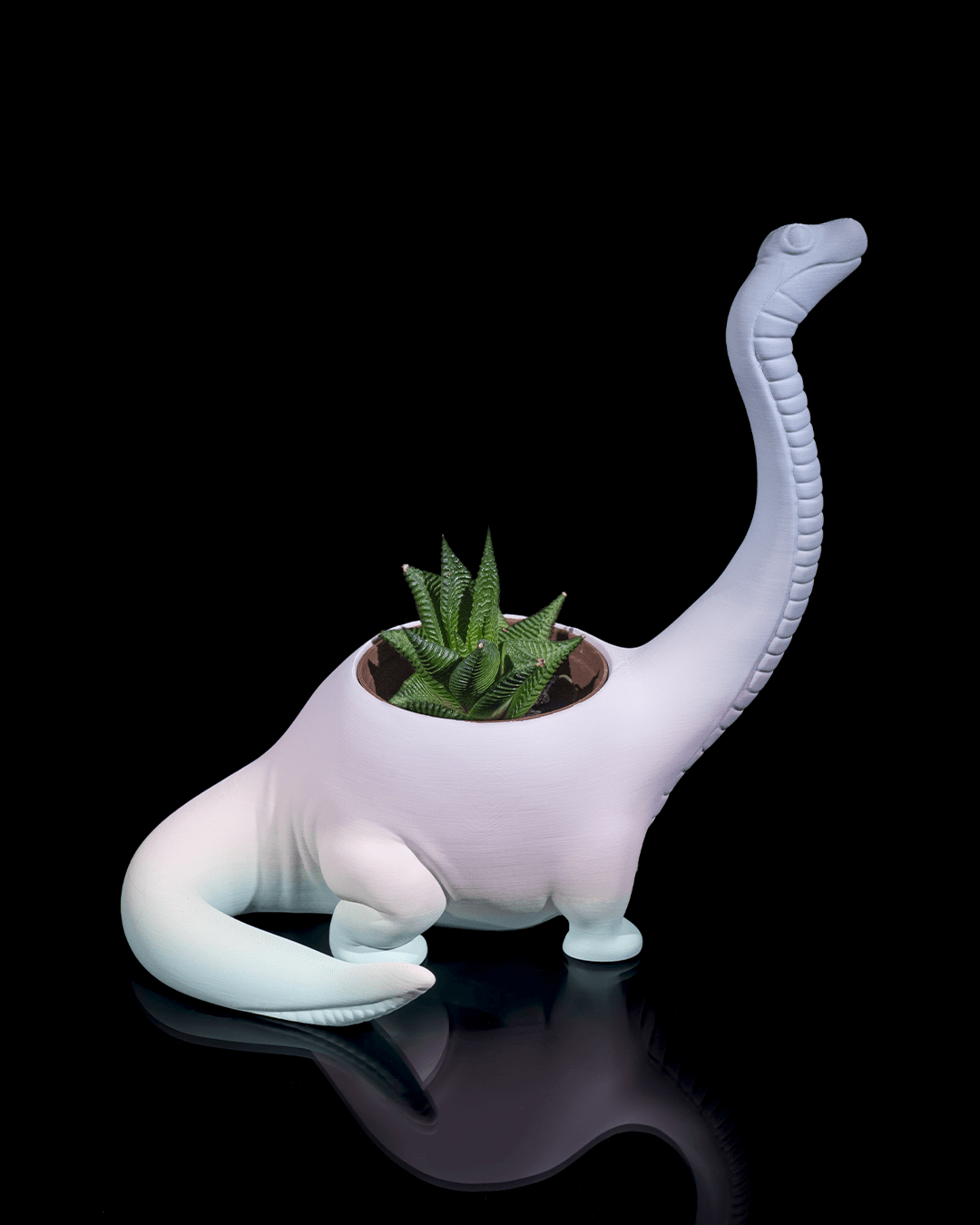Herbivore Planter - Front - Image 5