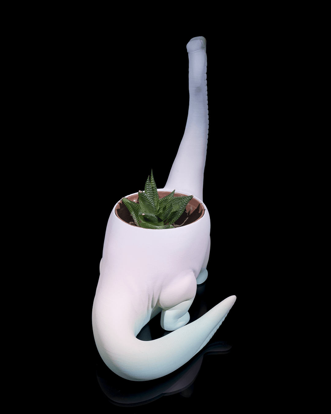 Herbivore Planter - Front - Image 6