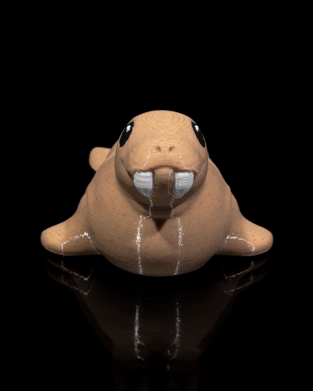 Atlantic Walrus - Image 5