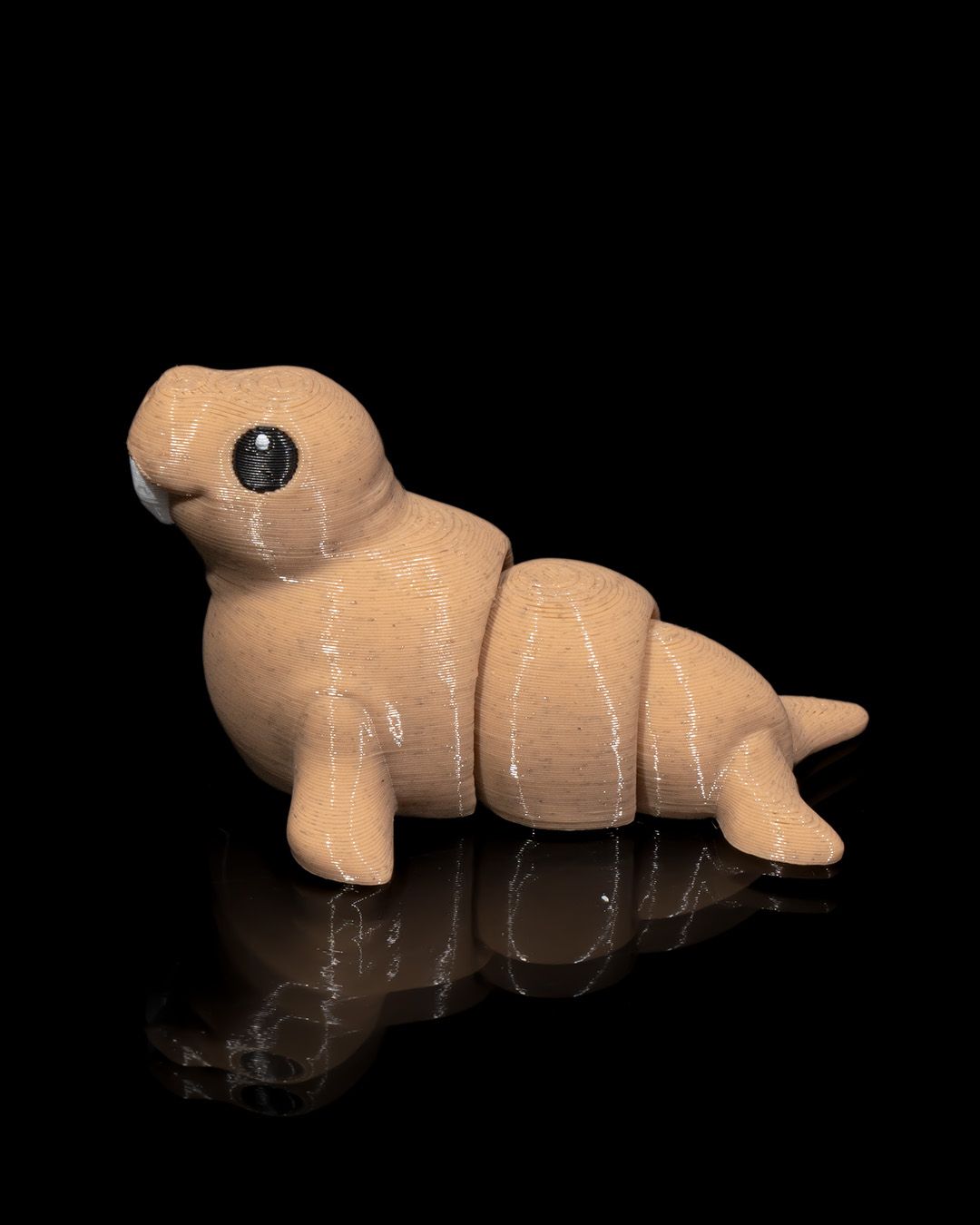 Atlantic Walrus - Image 7