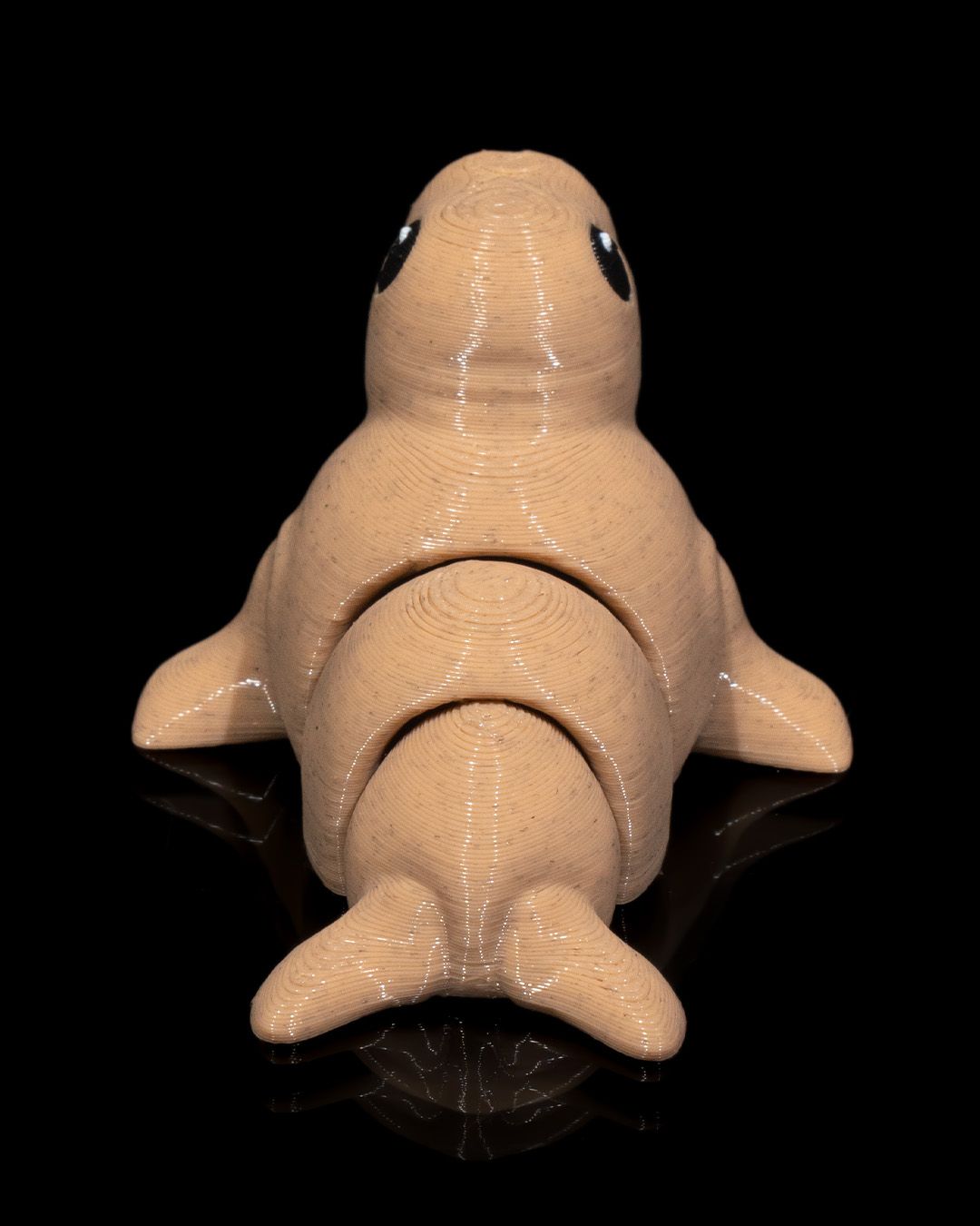 Atlantic Walrus - Image 9