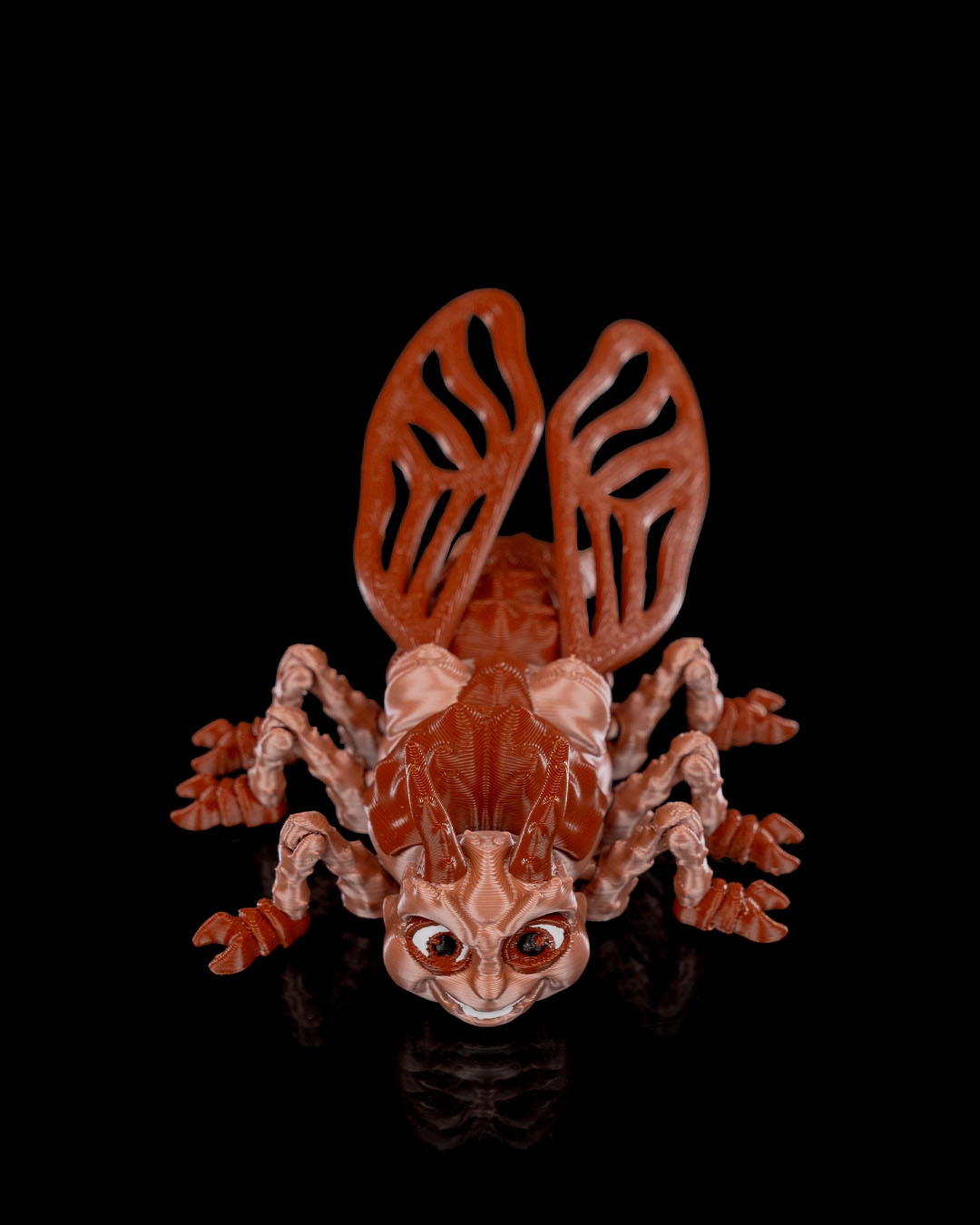 Barata Larry - Image 9