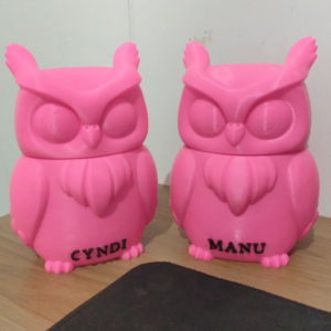 Corujas Personalizadas