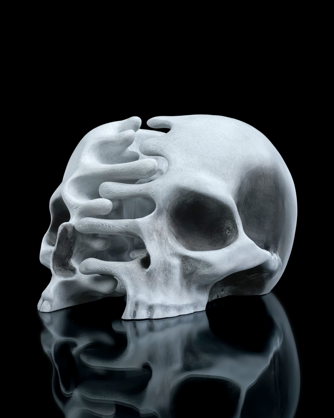 RIPped skull - Image 4