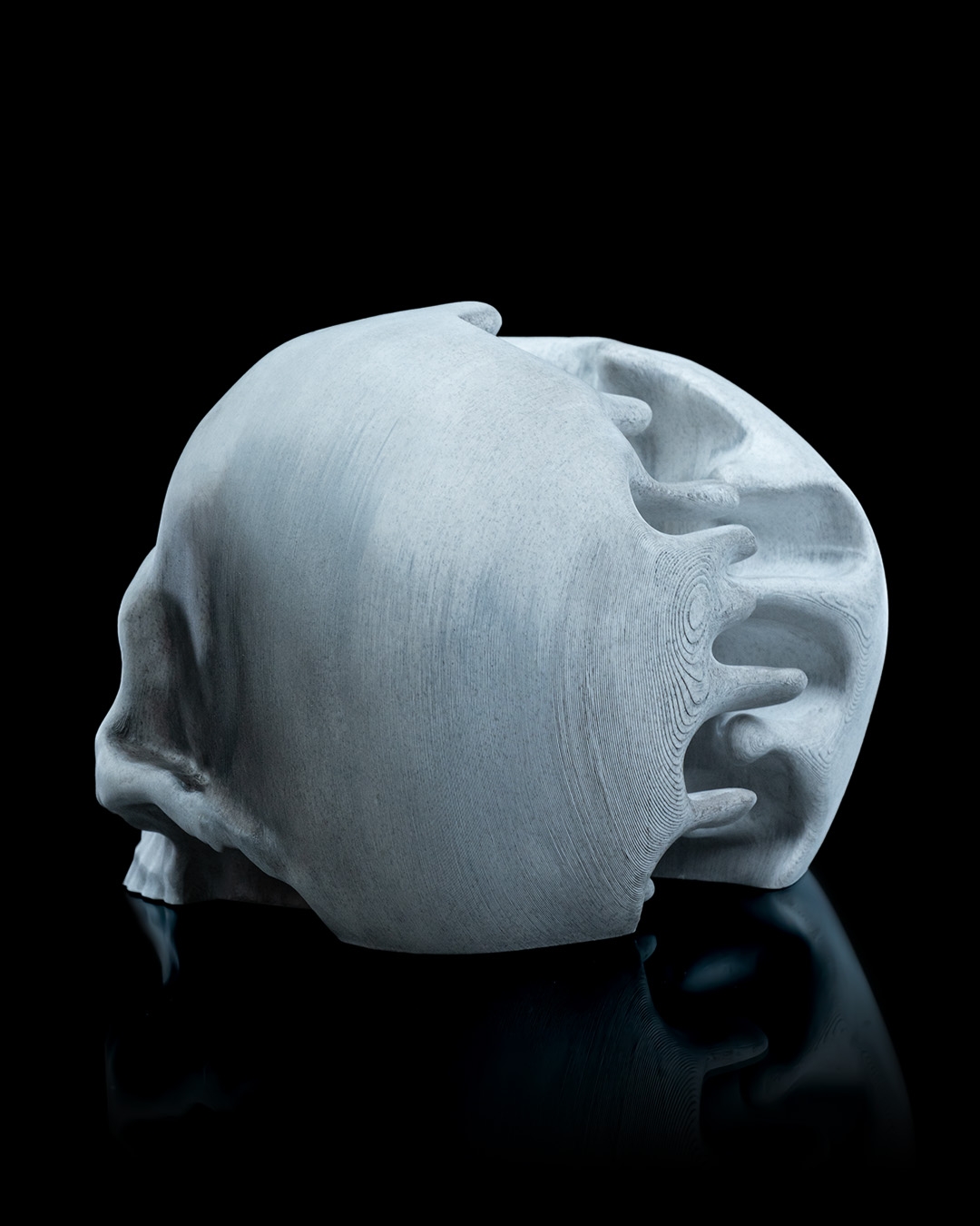 RIPped skull - Image 6