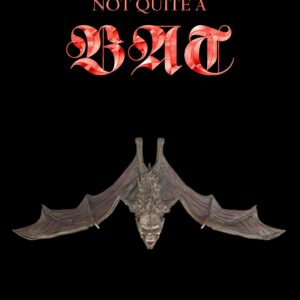 Not Quite a Bat