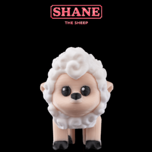Shane, The Sheep