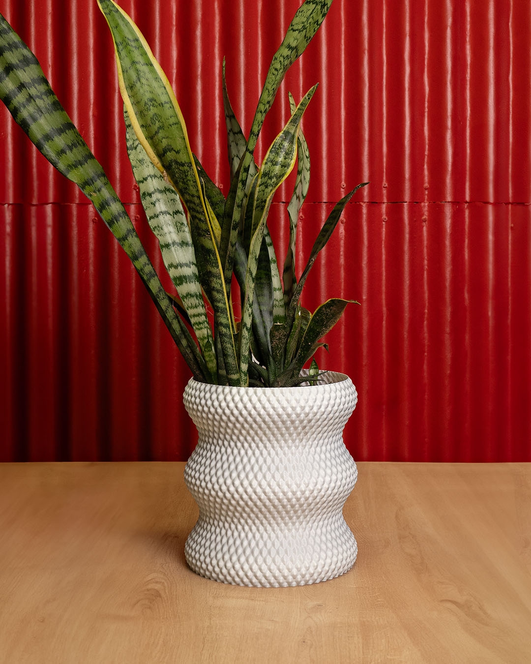 Vaso Diamante 💎 - Image 6