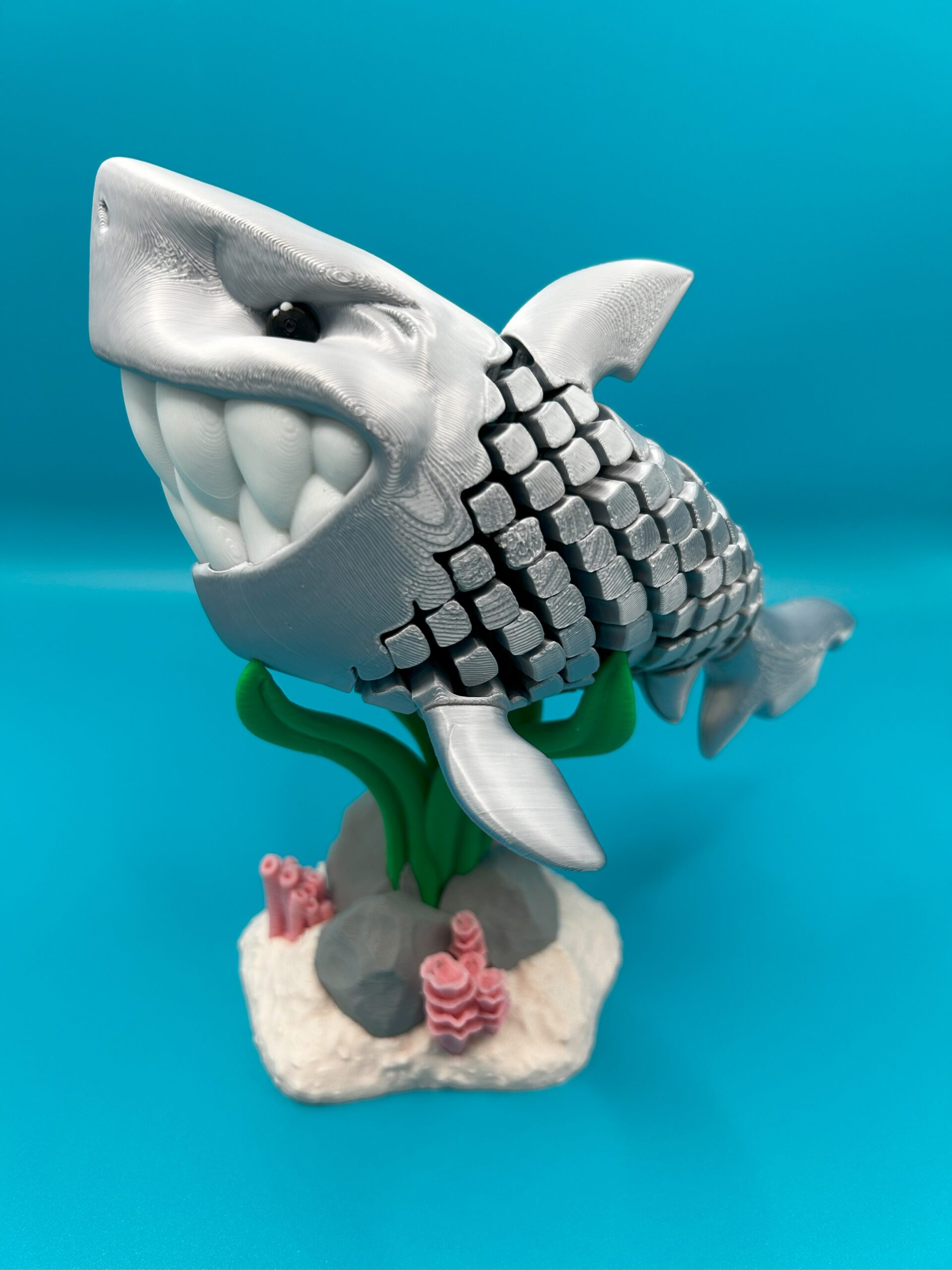 Travis, the Silver Shark