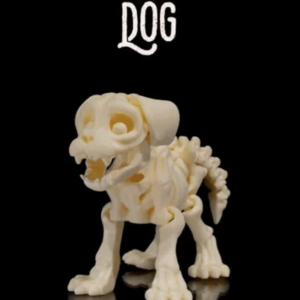Skeleton Dog