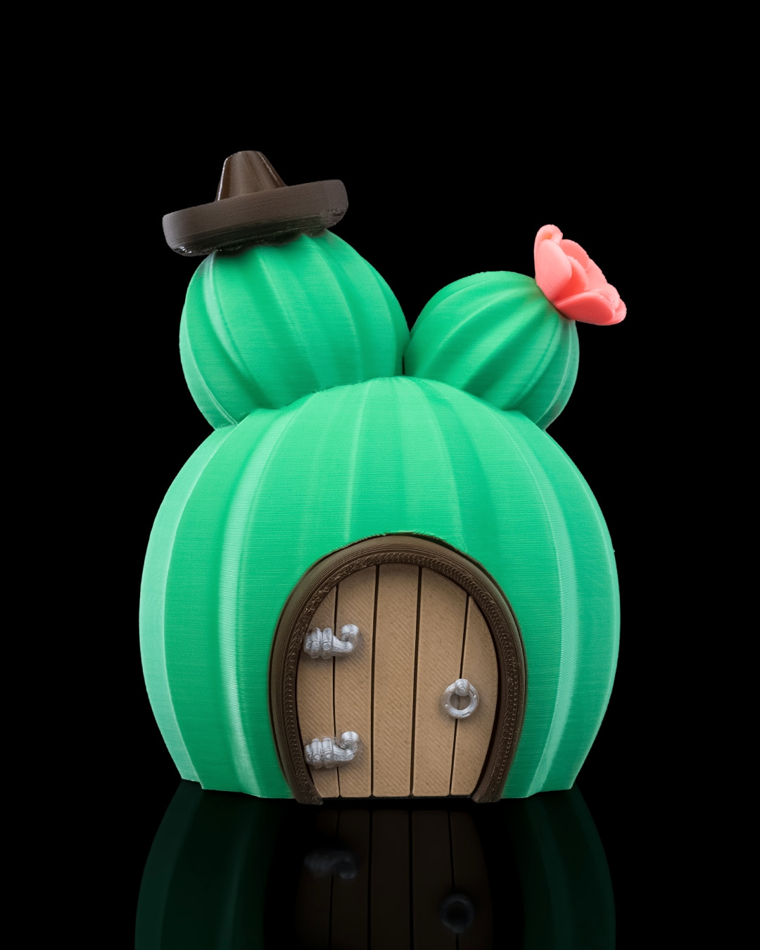 Cactus House - Image 4