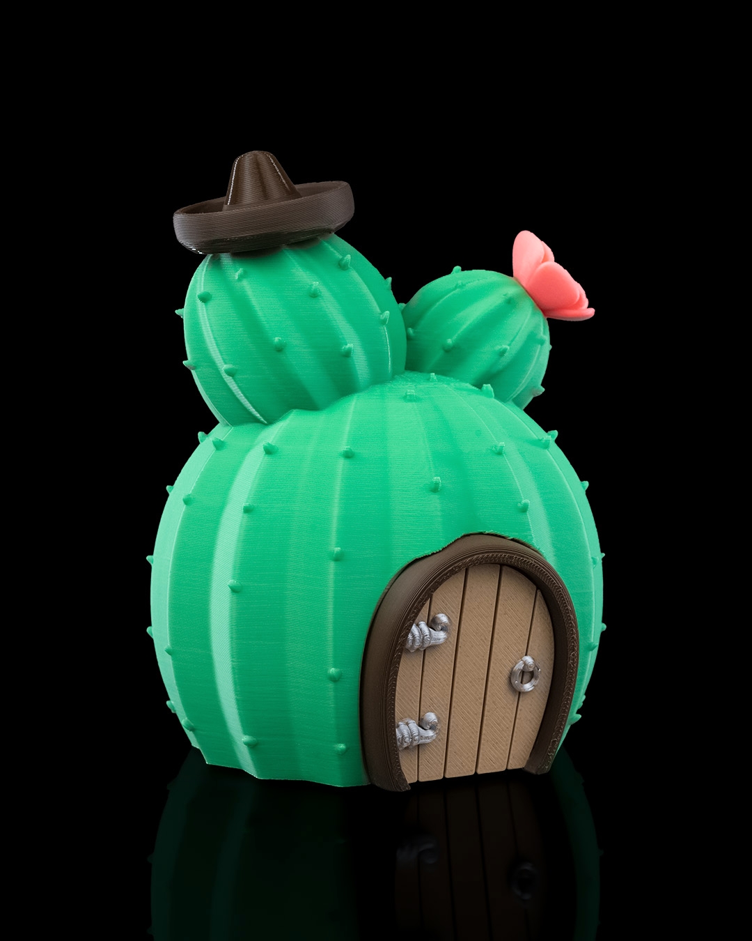 Cactus House - Image 5