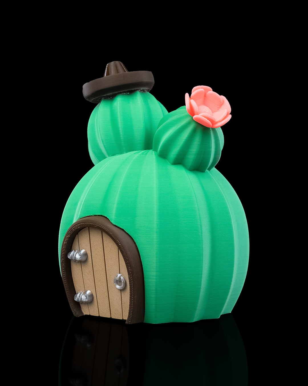 Cactus House - Image 6