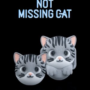 Not Missing Cat