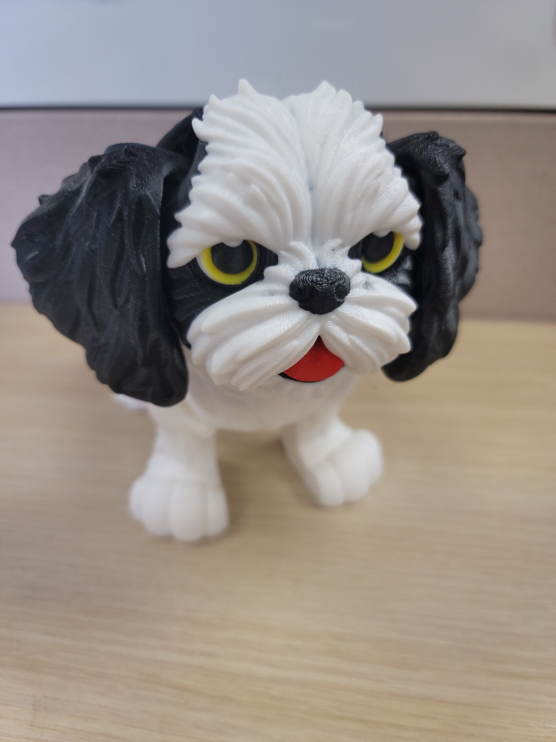 Shih Tzu
