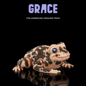 Grace, the American Ground Frog