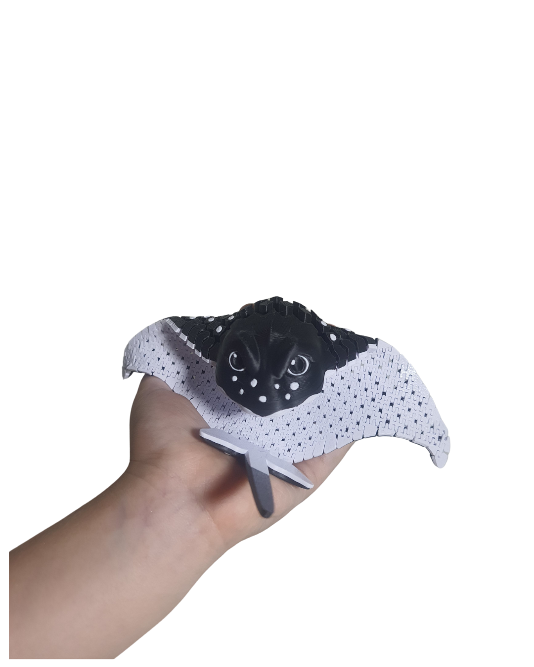 Arraia Flexível Diversão Para Toda Familia!