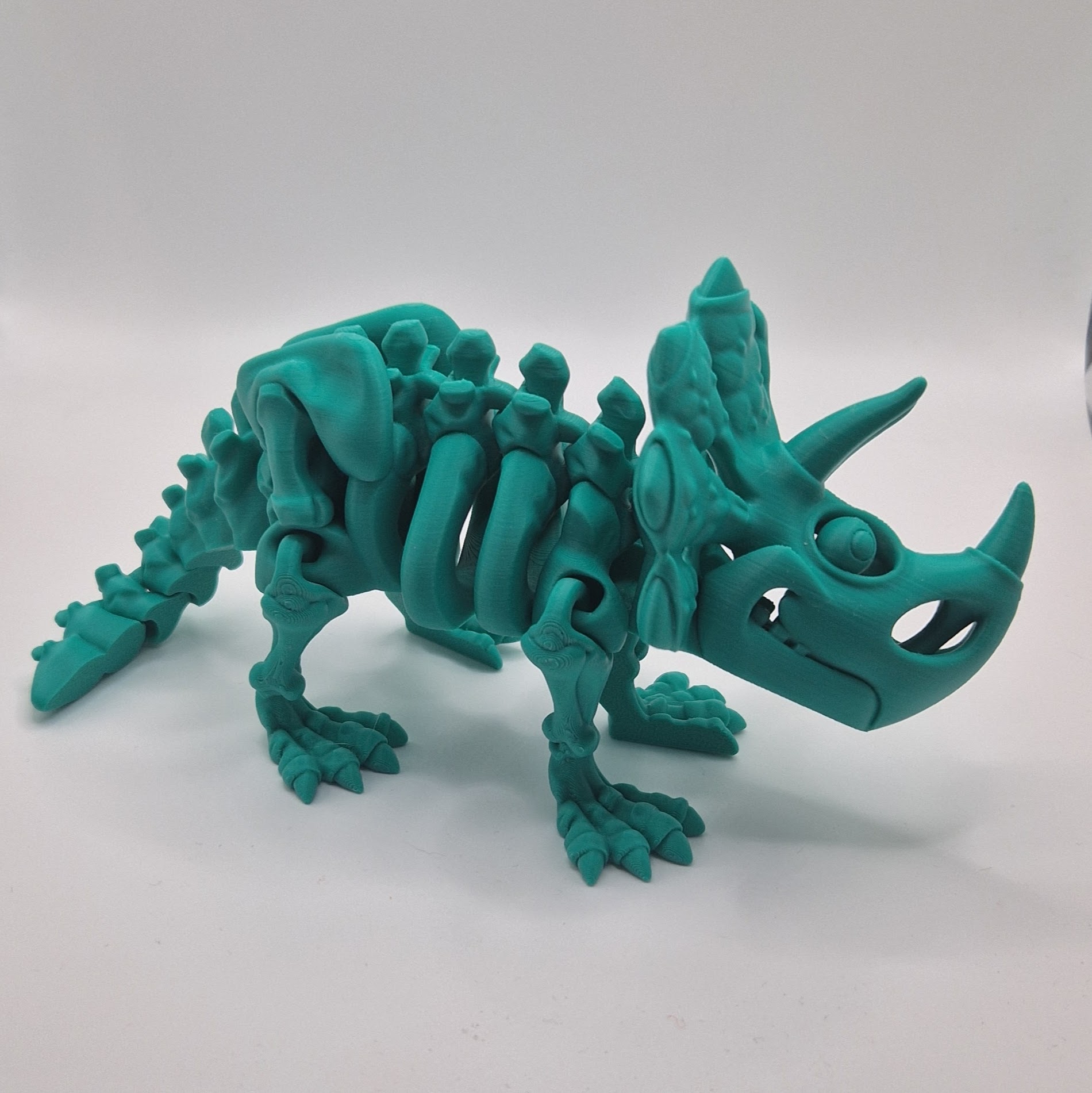 Triceratops Skeleton - Image 2