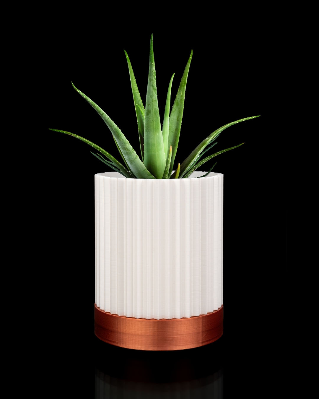 CYLINDRIX Wall Planter Set - Image 3