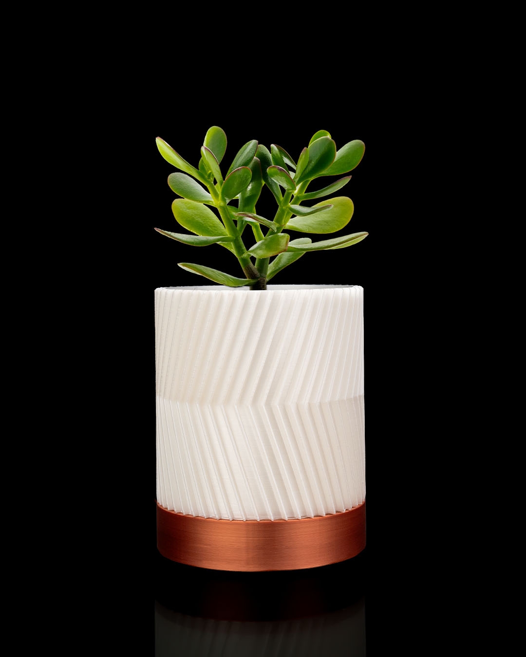 CYLINDRIX Wall Planter Set - Image 2