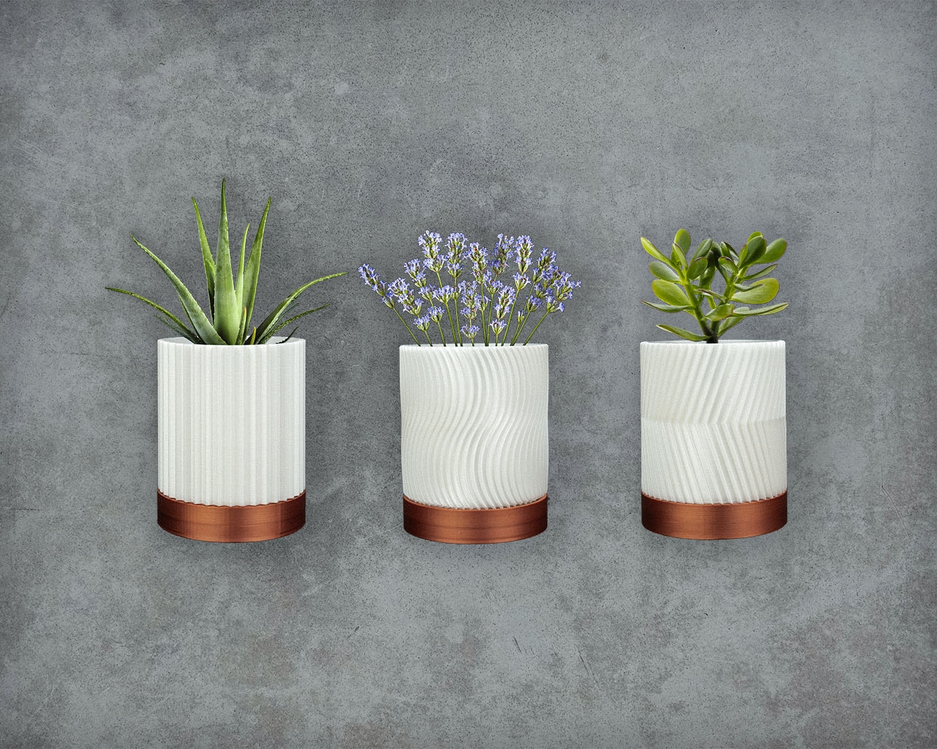 CYLINDRIX Wall Planter Set - Image 5