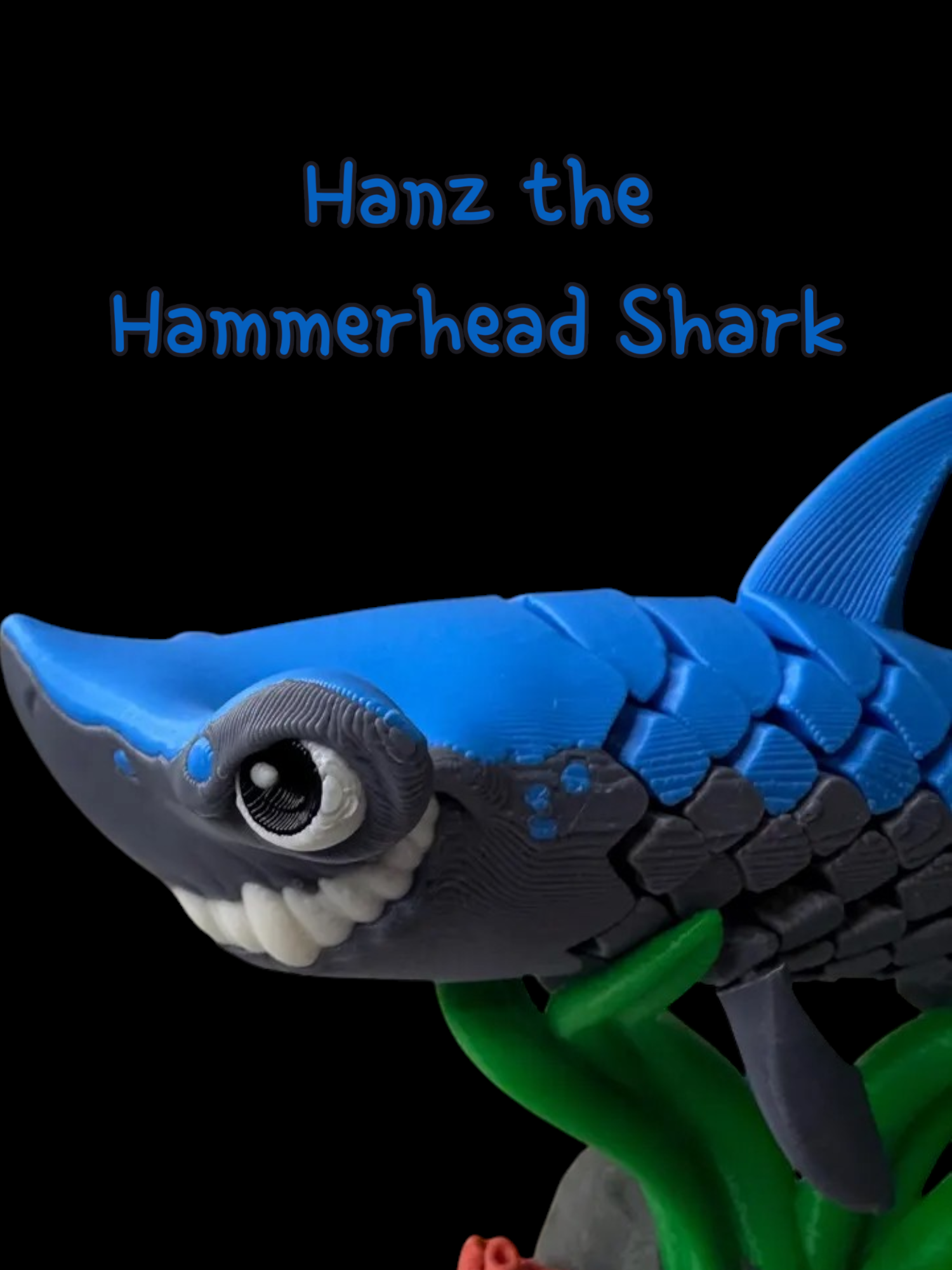 Hammerhead Shark