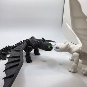 🐉✨ The Iconic Dragon Couple - Toothless & Luna ✨🐉