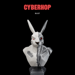 Cyberhop Bust