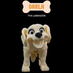 Darla, the Labrador