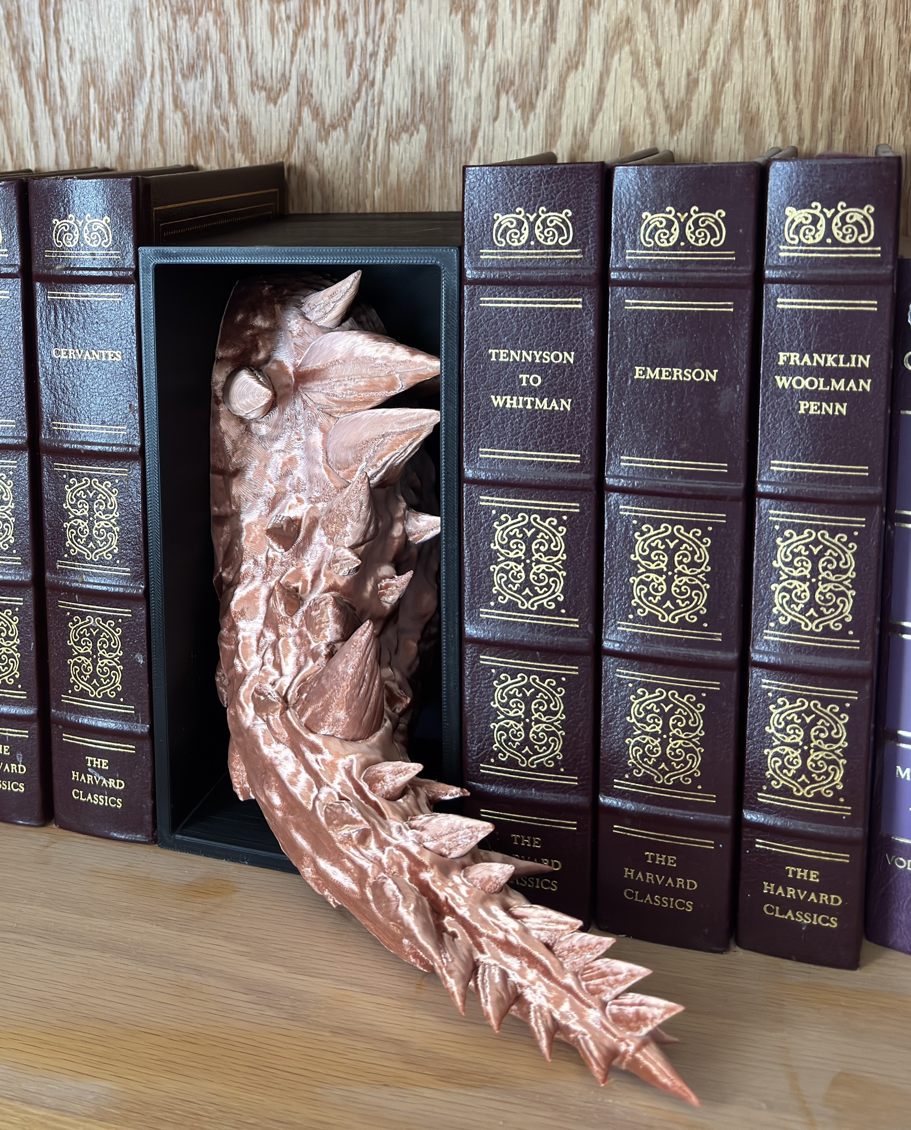 Dragon Tail Book Nook - Painted - Image 2