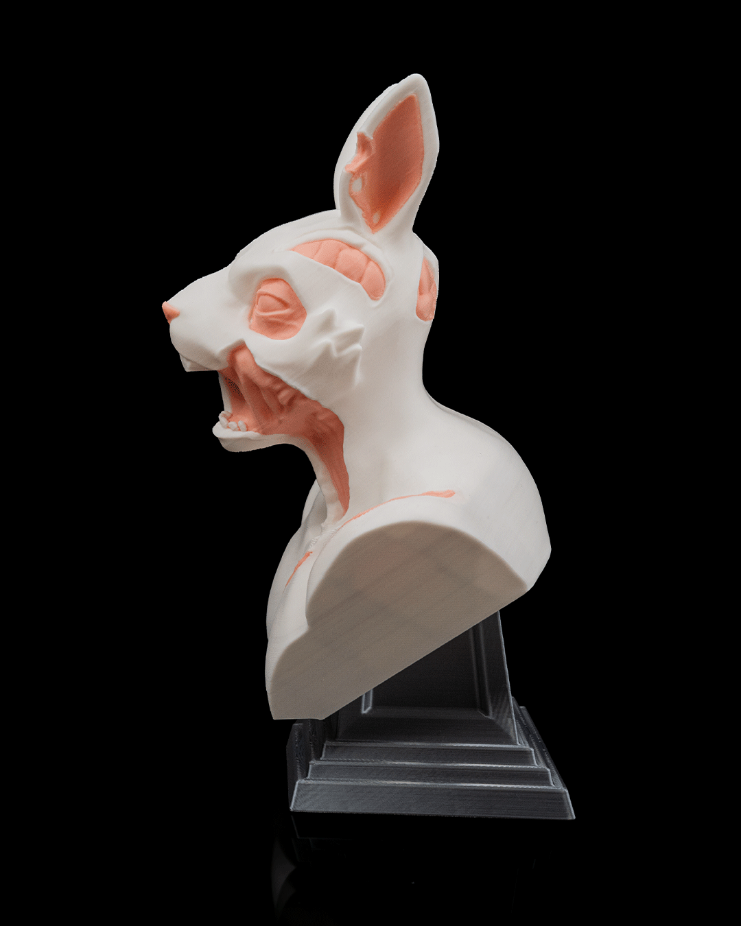 RotTail Bust - Image 4